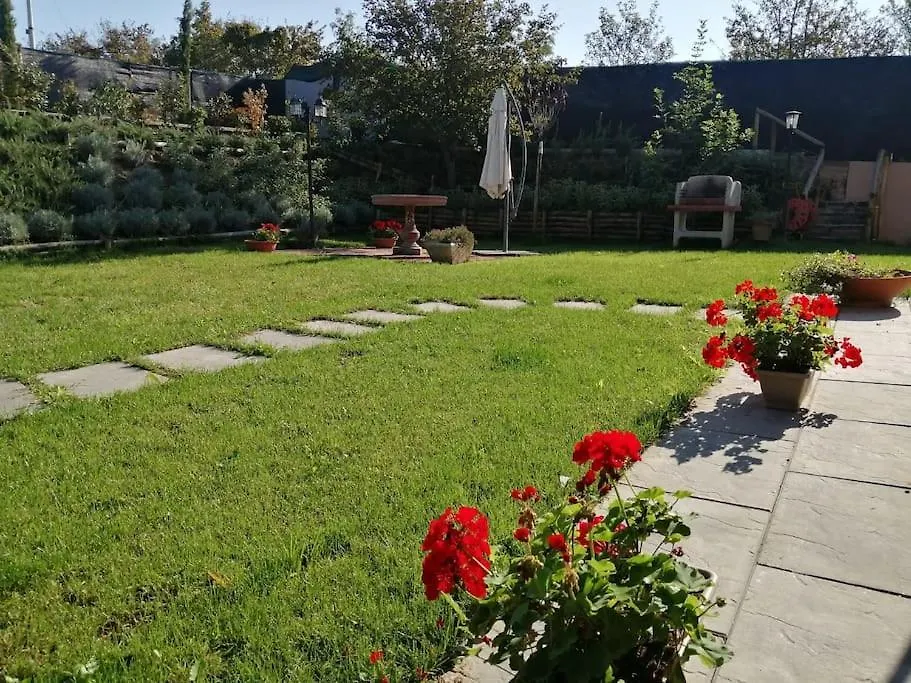 Elizabeth'S Home Винчи